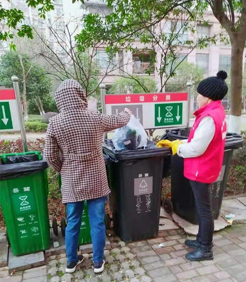 探訪長沙市生活垃圾分類示范街道 城市生活垃圾精準治理新樣本